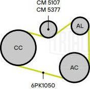 Trialli CM 5377 - Natezač remena, klinasti rebrasti remen  www.molydon.hr
