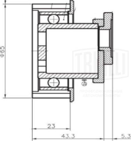 Trialli CM 5207 - Natezač, zupčasti remen  www.molydon.hr