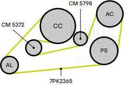 Trialli CM 5732 - Natezač remena, klinasti rebrasti remen  www.molydon.hr