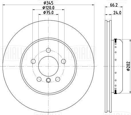 Trialli DF 210216 - Kočioni disk www.molydon.hr