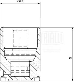 Trialli RCF 032120 - Klip, kočione čeljusti www.molydon.hr