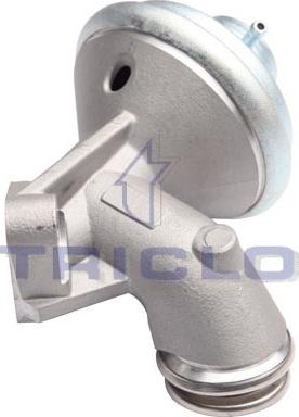 Triclo 340209 - EGR ventil www.molydon.hr
