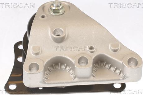 Triscan 8505 29110 - Nosač motora www.molydon.hr