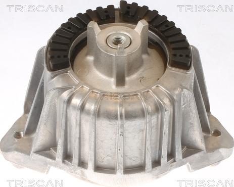 Triscan 8505 23101 - Nosač motora www.molydon.hr