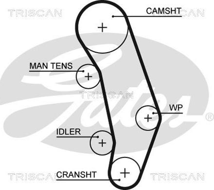 Triscan 8647 29077 - Komplet zupčastog remena www.molydon.hr