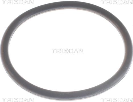 Triscan 8620 9491 - Termostat, rashladna tekućinu www.molydon.hr