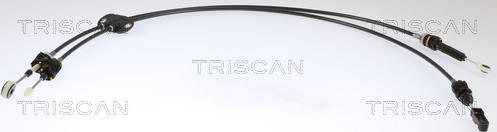 Triscan 8140 16716 - Sajla, ručni mjenjač www.molydon.hr