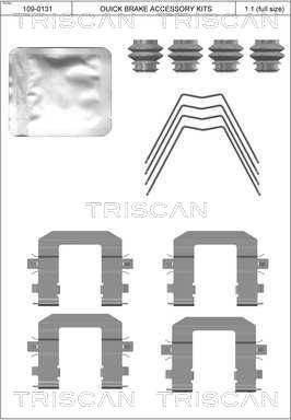 Triscan 8105 431663 - Komplet pribora, Pločica disk kočnice www.molydon.hr