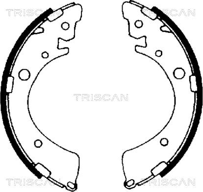 Triscan 8100 40441 - Komplet kočnica, bubanj kočnice www.molydon.hr