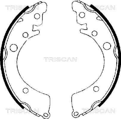 Triscan 8100 40402 - Komplet kočnica, bubanj kočnice www.molydon.hr