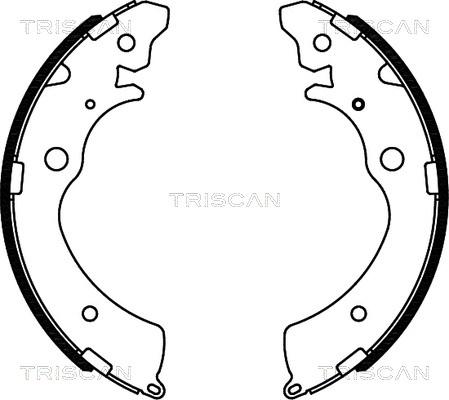 Triscan 8100 40508 - Komplet kočnica, bubanj kočnice www.molydon.hr