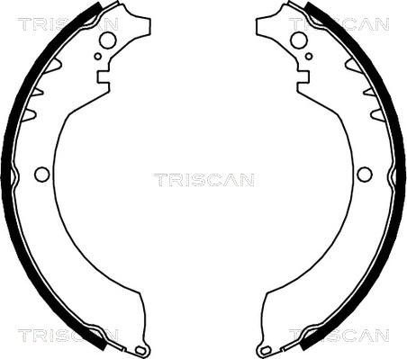 Triscan 8100 41419 - Komplet kočnica, bubanj kočnice www.molydon.hr