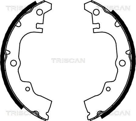 Triscan 8100 41414 - Komplet kočnica, bubanj kočnice www.molydon.hr