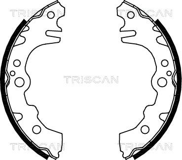 Triscan 8100 41619 - Komplet kočnica, bubanj kočnice www.molydon.hr