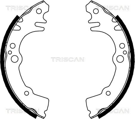 Triscan 8100 41616 - Komplet kočnica, bubanj kočnice www.molydon.hr