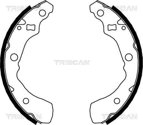 Triscan 8100 41618 - Komplet kočnica, bubanj kočnice www.molydon.hr