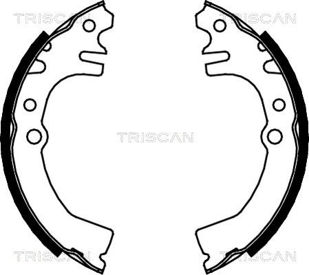 Triscan 8100 41613 - Komplet kočnica, bubanj kočnice www.molydon.hr