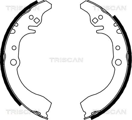 Triscan 8100 41617 - Komplet kočnica, bubanj kočnice www.molydon.hr