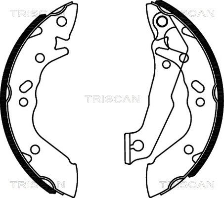 Triscan 8100 43560 - Komplet kočnica, bubanj kočnice www.molydon.hr