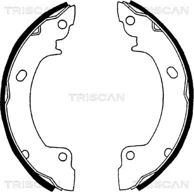 Triscan 8100 43529 - Komplet kočnica, bubanj kočnice www.molydon.hr