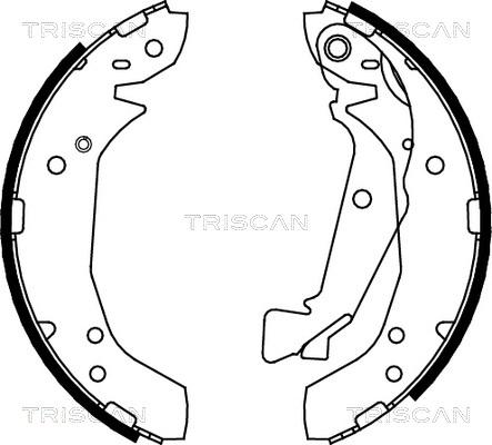 Triscan 8100 43025 - Komplet kočnica, bubanj kočnice www.molydon.hr