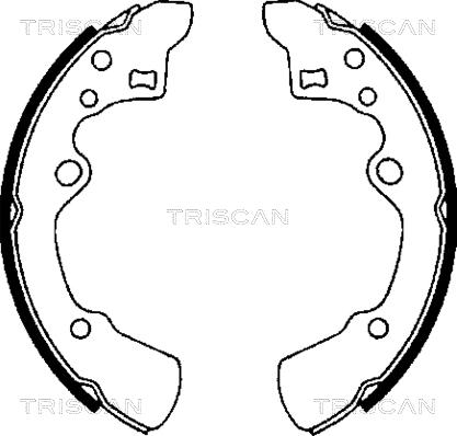 Triscan 8100 50496 - Komplet kočnica, bubanj kočnice www.molydon.hr