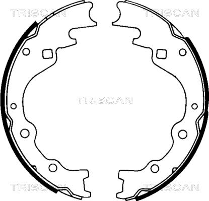 Triscan 8100 50461 - Komplet kočnica, bubanj kočnice www.molydon.hr