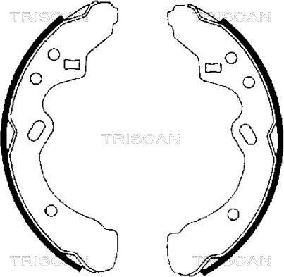 Triscan 8100 50438 - Komplet kočnica, bubanj kočnice www.molydon.hr