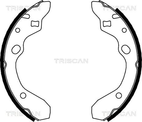 Triscan 8100 50546 - Komplet kočnica, bubanj kočnice www.molydon.hr