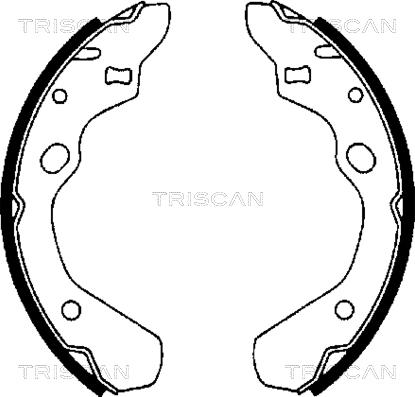 Triscan 8100 50500 - Komplet kočnica, bubanj kočnice www.molydon.hr