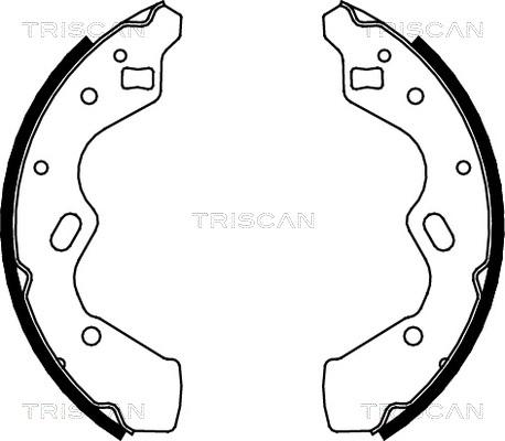 Triscan 8100 50615 - Komplet kočnica, bubanj kočnice www.molydon.hr