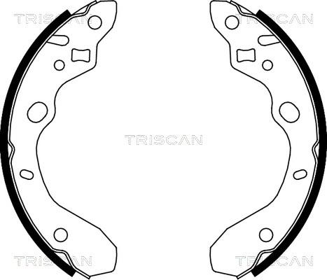 Triscan 8100 50611 - Komplet kočnica, bubanj kočnice www.molydon.hr