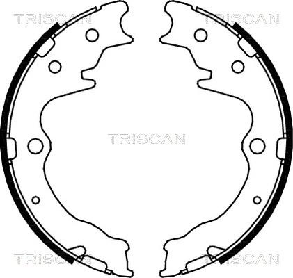 Triscan 8100 50003 - Komplet kočionih obloga, rucna kočnica www.molydon.hr