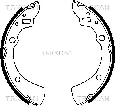 Triscan 8100 50359 - Komplet kočnica, bubanj kočnice www.molydon.hr