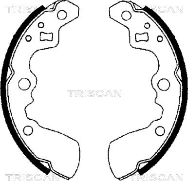 Triscan 8100 69550 - Komplet kočnica, bubanj kočnice www.molydon.hr