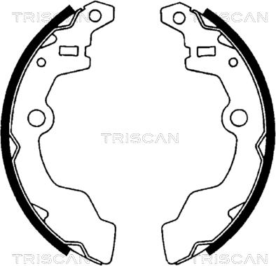 Triscan 8100 69567 - Komplet kočnica, bubanj kočnice www.molydon.hr