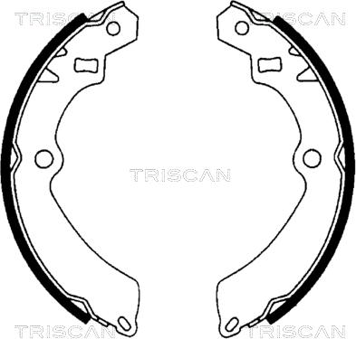 Triscan 8100 69511 - Komplet kočnica, bubanj kočnice www.molydon.hr