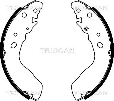 Triscan 8100 69584 - Komplet kočnica, bubanj kočnice www.molydon.hr