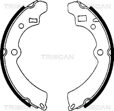 Triscan 8100 69521 - Komplet kočnica, bubanj kočnice www.molydon.hr