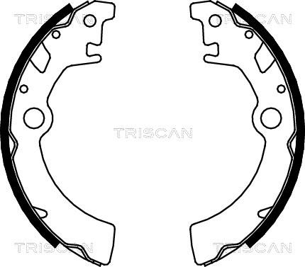 Triscan 8100 69600 - Komplet kočnica, bubanj kočnice www.molydon.hr