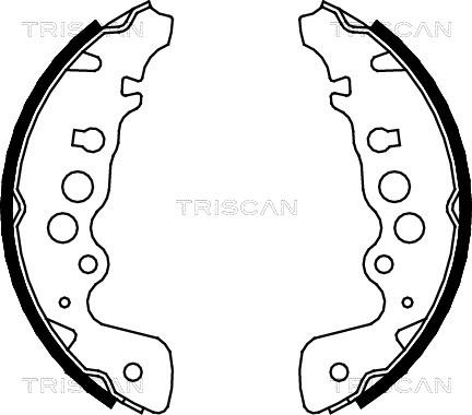 Triscan 8100 69608 - Komplet kočnica, bubanj kočnice www.molydon.hr