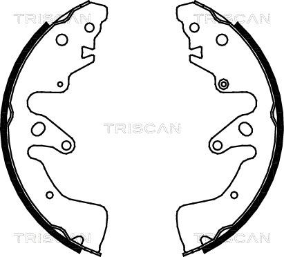 Triscan 8100 69004 - Komplet kočnica, bubanj kočnice www.molydon.hr