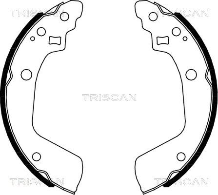 Triscan 8100 69008 - Komplet kočnica, bubanj kočnice www.molydon.hr