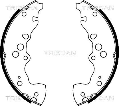 Triscan 8100 69003 - Komplet kočnica, bubanj kočnice www.molydon.hr