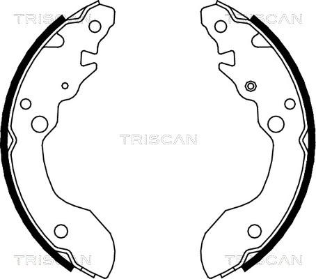 Triscan 8100 69007 - Komplet kočnica, bubanj kočnice www.molydon.hr