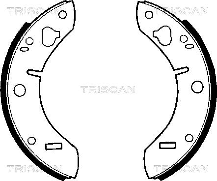 Triscan 8100 65011 - Komplet kočnica, bubanj kočnice www.molydon.hr