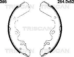 Triscan 8100 60395 - Komplet kočnica, bubanj kočnice www.molydon.hr