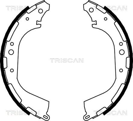 Triscan 8100 14564 - Komplet kočnica, bubanj kočnice www.molydon.hr