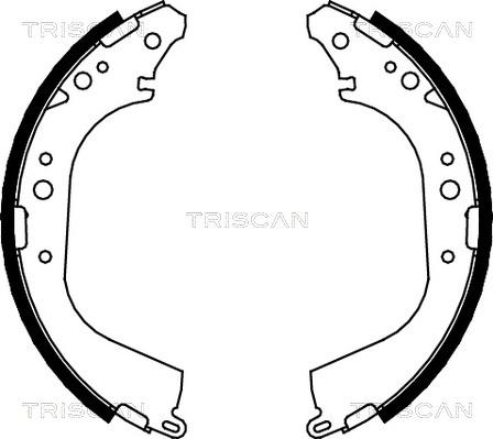 Triscan 8100 14565 - Komplet kočnica, bubanj kočnice www.molydon.hr