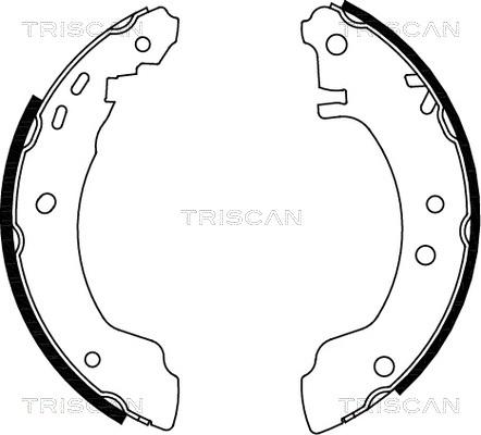 Triscan 8100 14531 - Komplet kočnica, bubanj kočnice www.molydon.hr